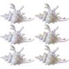 Plastic Conch Hair Clip Women's New Fashionable Resort Style Shark Clip Marine Hair Accessories