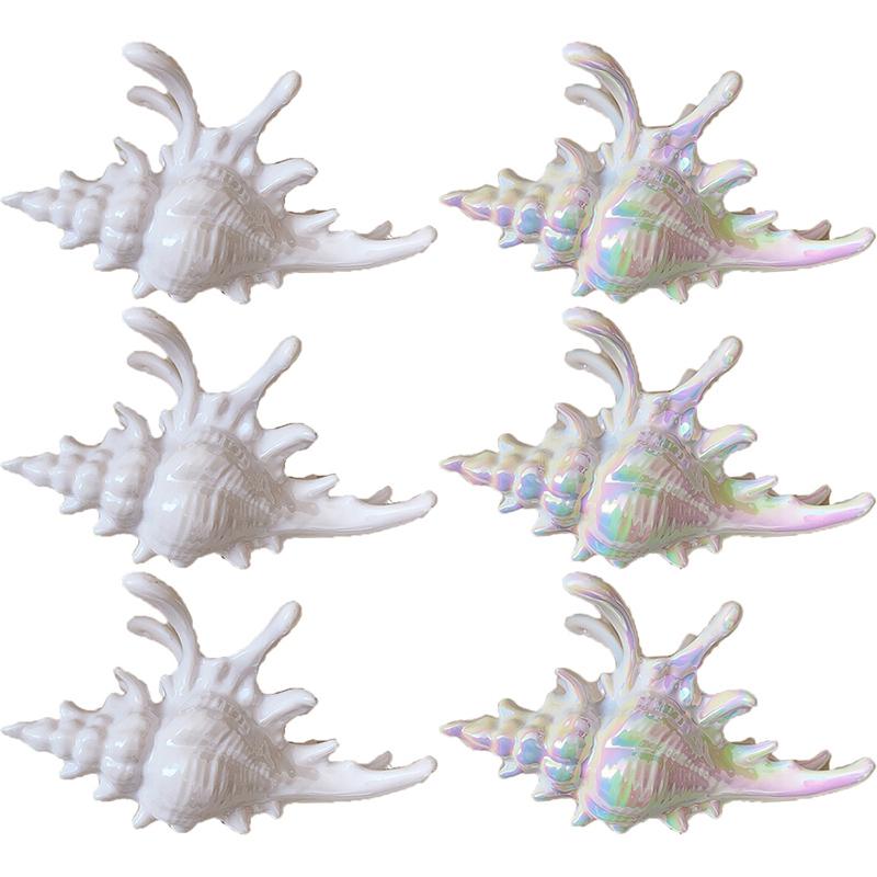 Plastic Conch Hair Clip Women's New Fashionable Resort Style Shark Clip Marine Hair Accessories