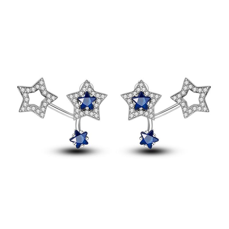New 925 Sterling Silver Hope Rainbow Flower Earrings For Women Sparkling Colored Zircon Star Koi Earrings Fashion Party Jewelry