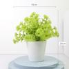 Artificial Mini Potted Plant Decor Desk Home Office Plastic Simulation Greenery 20cm Height Multi-Color Options