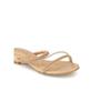 Tandy Women S SandalS Ck 535