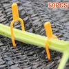 50PCS Strawberry Planting Fork Garden Strawberry Planting Fork Watermelon Fastening Fixture Clamp Clip Plant Support for Garden