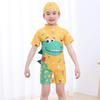 Boys' Dinosaur Print Short-Sleeve Swimsuit Set