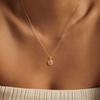 CARLIDANA Fine Jewelry Charms Hot Birthstone Necklace Fashion Simple Zircon Stainless Steel Necklace Christmas Birthday Gift