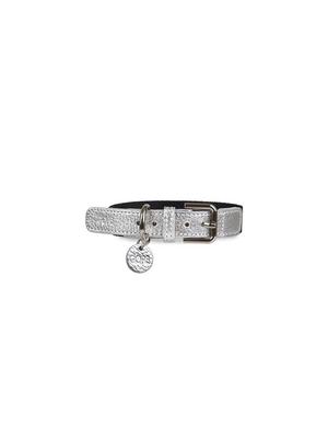 GOPE GOPE Metallic Dog Collar SIBK (B-Buckle)