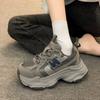 22 Spring Thick-soled Retro Sports Shoes Inner Height-increasing Dad Shoes Show Feet Small Mesh Casual Shoes
