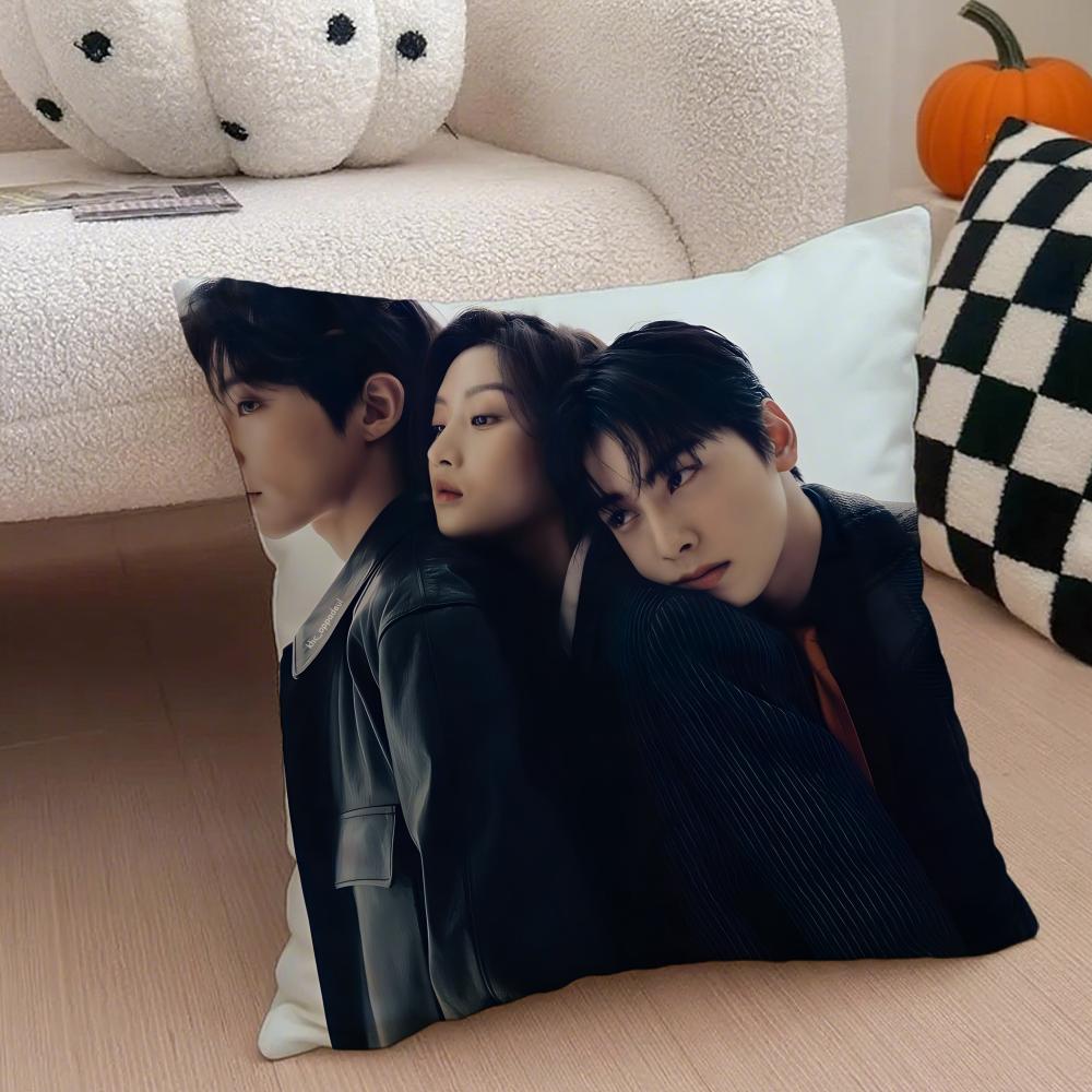Drama TTrue Beauty Cushion Cover Throw Pillow Cover Hidden Button Durable Polyester Chair Cushion
