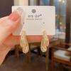 Women's Light Luxury Super Sparkling Exquisite Fashion Earrings