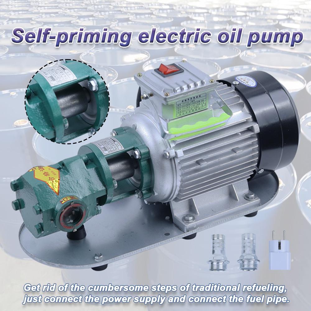 WCB-75 Self-Priming Gear Oil Pump Portable Cast Iron High Temperature Electric Gear Pump 750W Small High Viscosity Oil Pump 220V