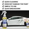 Rayhong car degreasing cleaner, body oil, asphalt tar remover, outdoor tree sap, insect stains, body dirt cleaning and maintenance solution 100ml