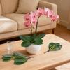 3PCS Artificial Orchids Leaves - Lifelike Fake Phalaenopsis Orchids Leaves with Plant Root, Green Leaf Plants for Flowers Arrangements Pot Shelf