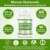 Morsan Nutraveda Bhringraj (Eclipta Prostrata) Extract Capsule | 60 x 500 mg. Veg Capsules | Helps Nourish Hair, Supports Liver Function (Pack of 2)