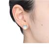 POKEMON Pokemon Center Pachirisu Accessory Pierced Earrings