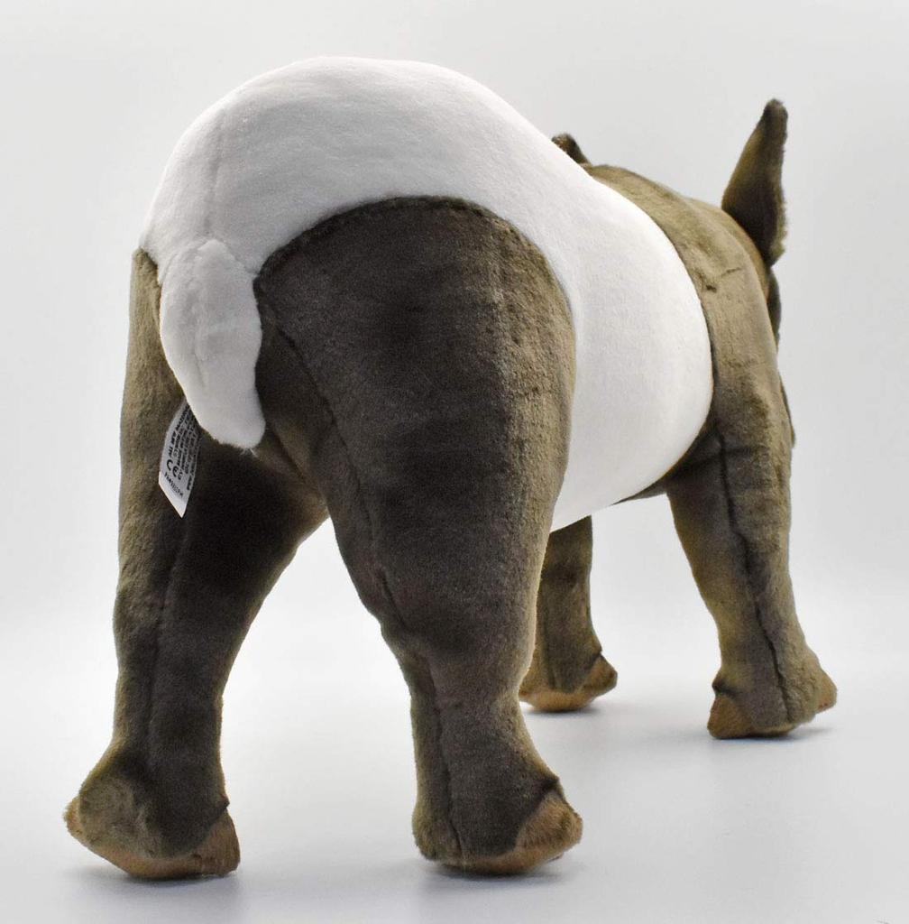 BH5088 HANSA Malayan Tapir 56