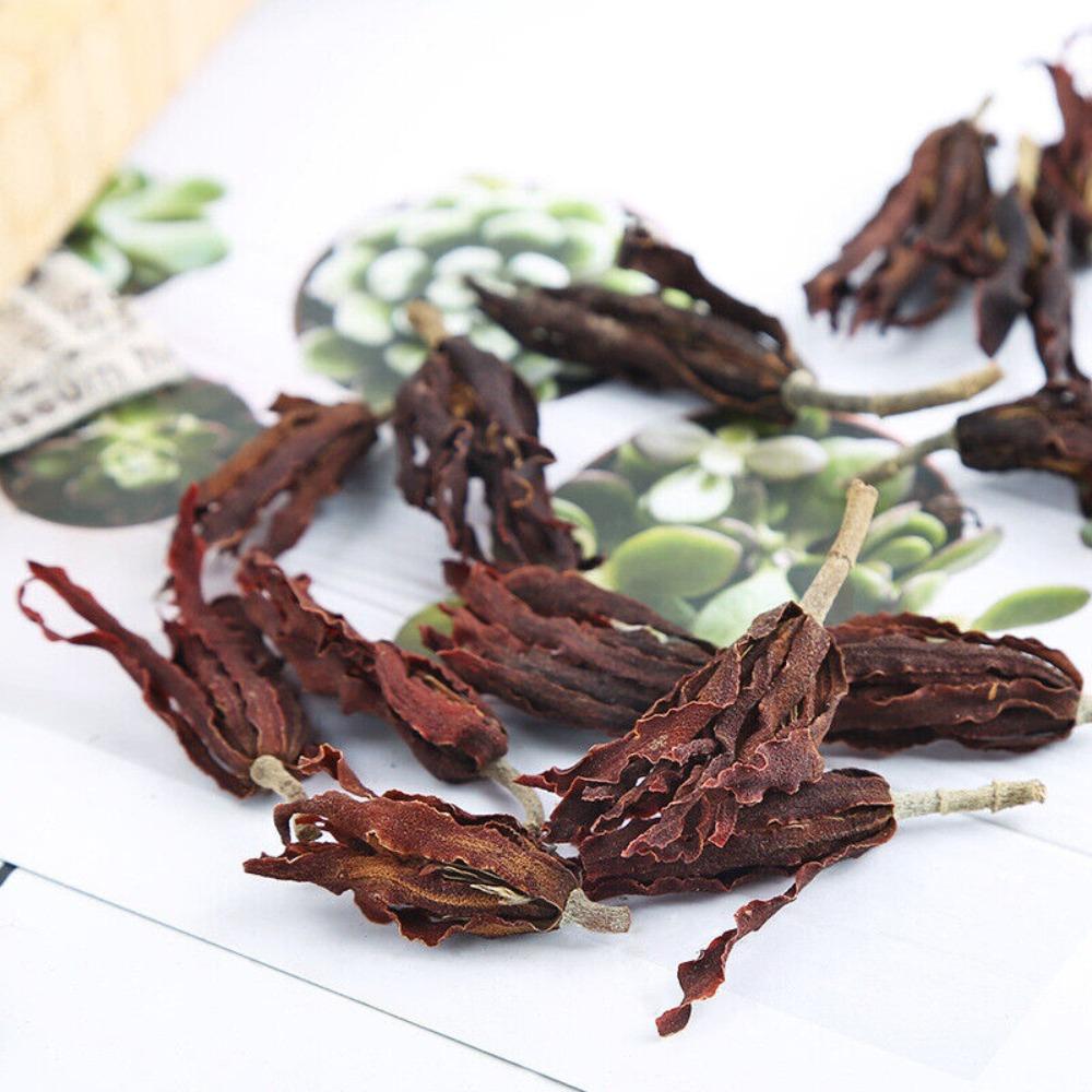 Getrockneter Magnolienblüten-Tee 500g Großhandel Weiße Magnolienblüte Kräutertee Los