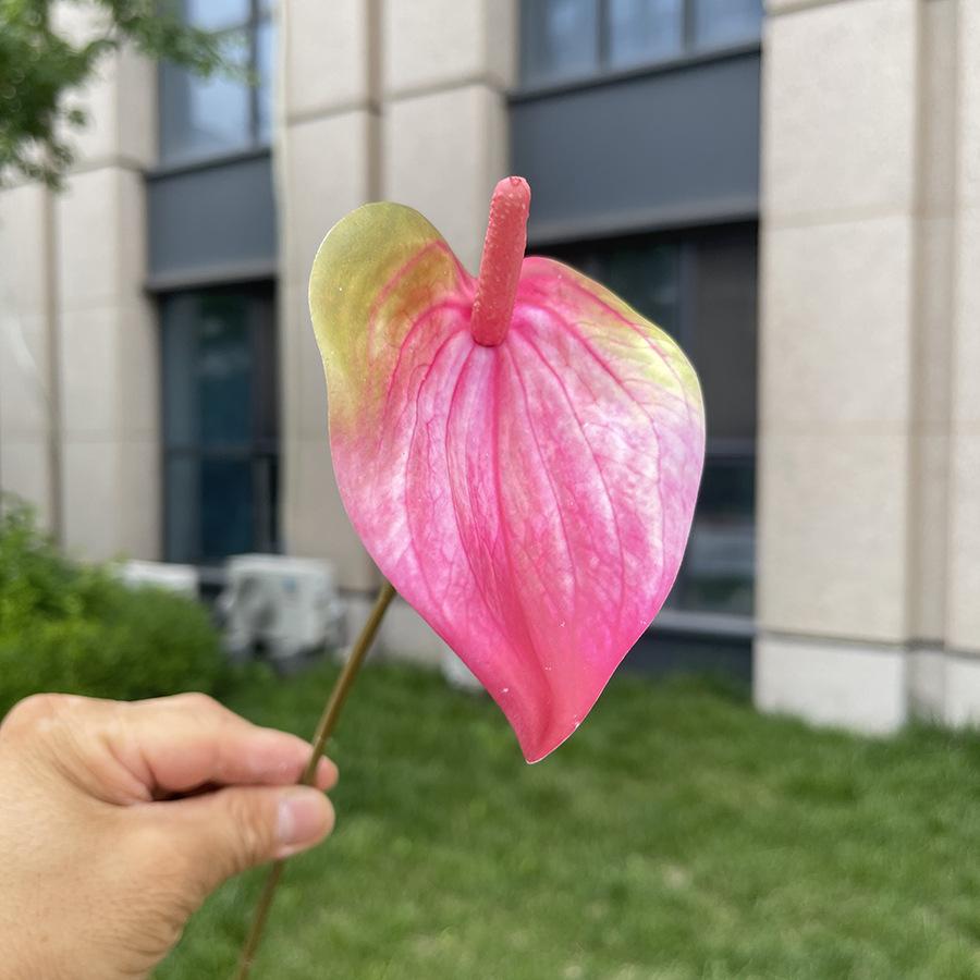 10ks Mini Anthurium Umělé Květiny Falešné Stonky Alokasie pro Svatbu Domácí Květinové Uspořádání Dekorace
