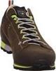Hiking Shoes Dolomite 54 Hike Low Evo GTX (289208-1440) Mud/green