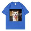 Silly Cat Bleh Funny Meme Graphic T Shirts Unisex Unisex Casual Cotton Short Sleeve Tshirts High Quality Fashion Oversized Tshirt
