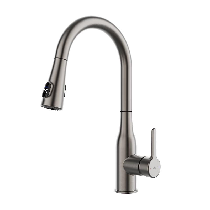 Hegii Flexible Pull-Out Kitchen Faucet