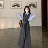 French-Style Two-Piece Long-Sleeve Plus Size Elegant Spring Dress with Waist-Cinched Skirt