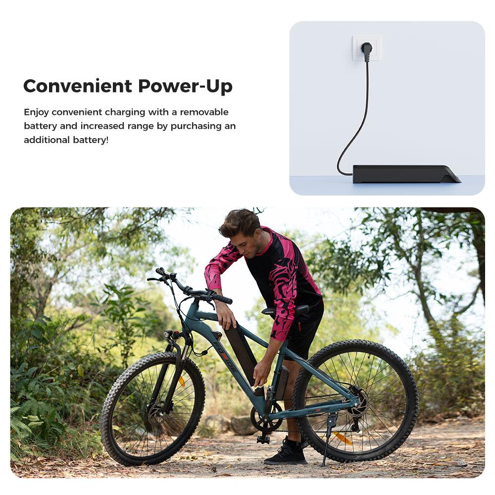 Foride Xtremer 3 250W 576Wh E-Bike mit 29”×2.4” Mountainbike-Reifen und 120km Maximalreichweite