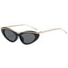 Occhiali da Sole Trendy da Donna Cat Eye - Stile INS 89286: Occhiali da Sole alla Moda per la Protezione Solare