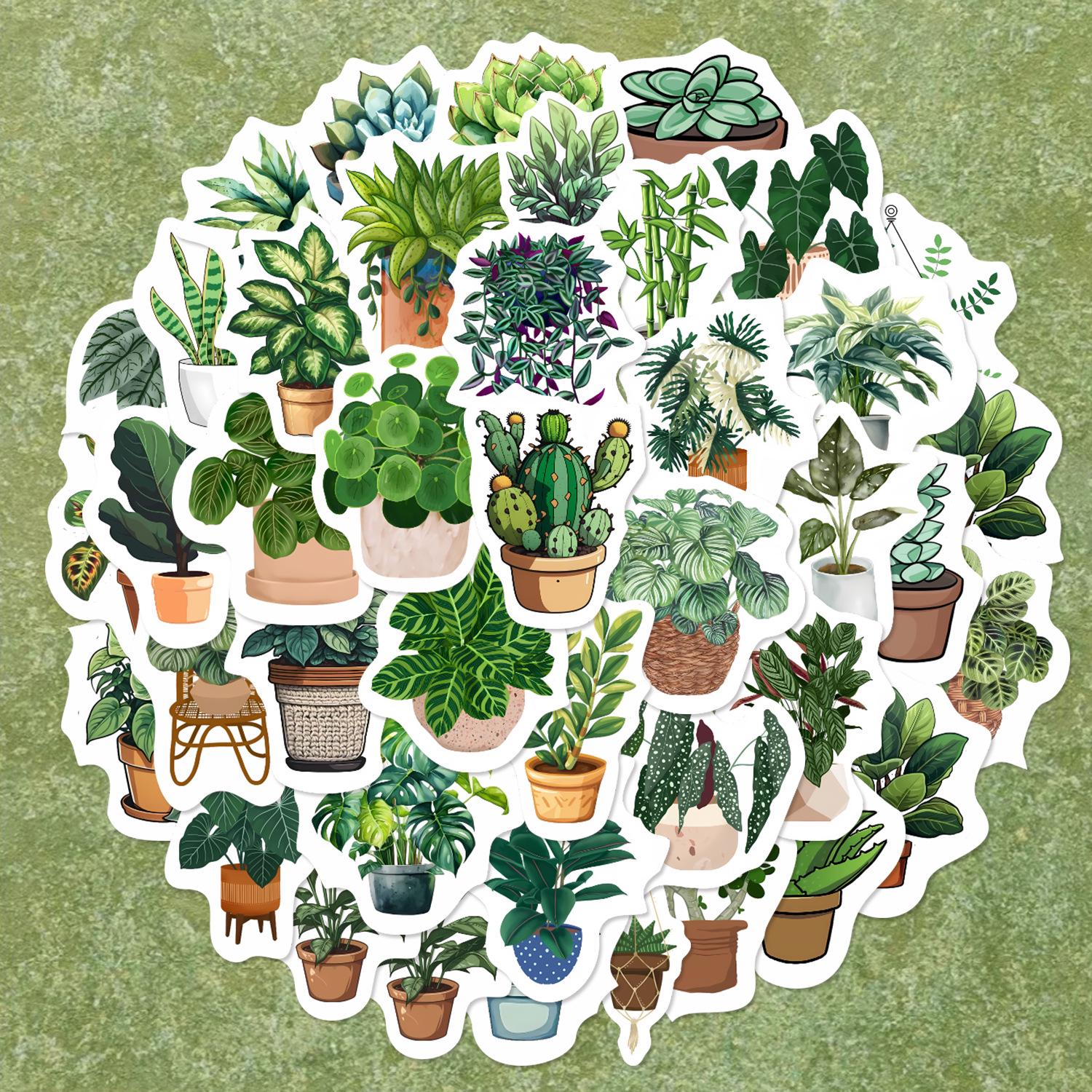 

50 шт. зеленых стикеров с граффити растений: Растительные украшения для гитары, блокнота, чемодана серый