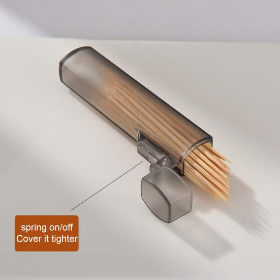 Boîte de Rangement Transparente et Portable pour Cure-dents, Support Distributeur Polyvalent pour Coton-tiges, Mini Organisateur de Cure-dents, Récipient pour Voyage en Extérieur