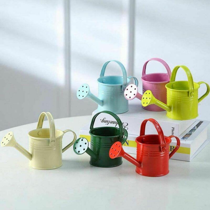 Flower Kettle Mini Water Spraying Metal Pot Watering Bottle Home Garden Decor