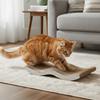Scratch Resistant Corrugated Paper Scratcher Wear-resistant Claw Grinding Board  for Playing