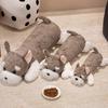 Cartoon Animal Lying Dog Doll Plush Toy Schnauzer Doll Children Soothing Rag Doll Birthday Gift