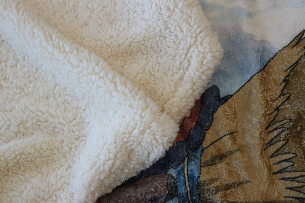 Marushin Throw Mary and the Flower 70 X 100cm Mary and the Sky 3835001000 Witch's Approx.