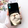 Transparent For Huawei Y7 Pro 2019 Case DUB-LX2 Cute Cat Fashion Butterfly Funny Painted Cover For Huawei Y7Pro 2019 Casing
