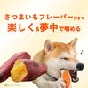 Student Toothbrush Bone for Extra Small Sweet Potato 2 Hartz Dog Dog Teeth Dental Developed with Veterinarians Toy, S, Dogs, Flavor, Pieces, Toy, Toy,