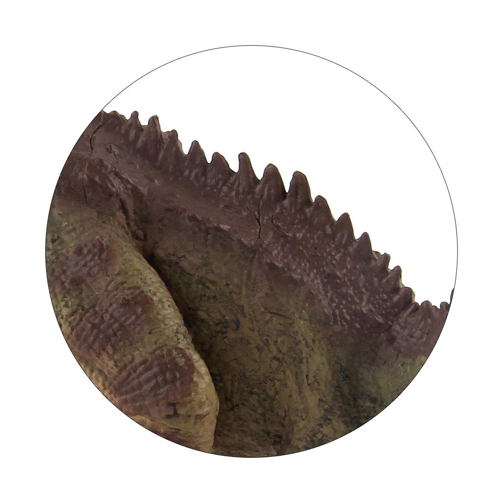 Mappa Dettagliata Inglese Modello Giocattolo Figura Mondo dei Dinosauri Fuzi Niulong Mascella Mobile