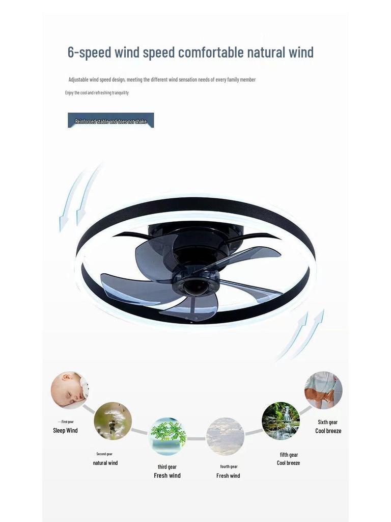 Luxury Ceiling Fan Light for Bedroom, Study, and Dining Room