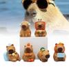 Adorable Capybara Figurine Cute Chubby Water Pig Creative Pvc Collectible Model Set