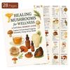 Guide To 15 Fungal Therapies – Fungi Learning & Wellness Notebook