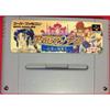 Used SFC SNES TAKARA Arabian Night Spirit King of the Desert Sabakunoseireiou AAJJ Cartridge SHVC-AAJJ-JPN SHVCAAJJJPN Tested Working NTSC-J