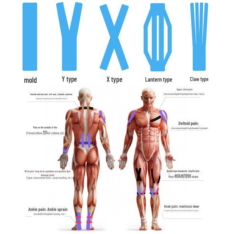 Göğüs Kaldırma ve Destek İçin Kinesiyoloji Kas Bandı