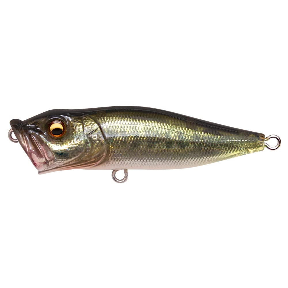 

Megabass POPX FA Bus