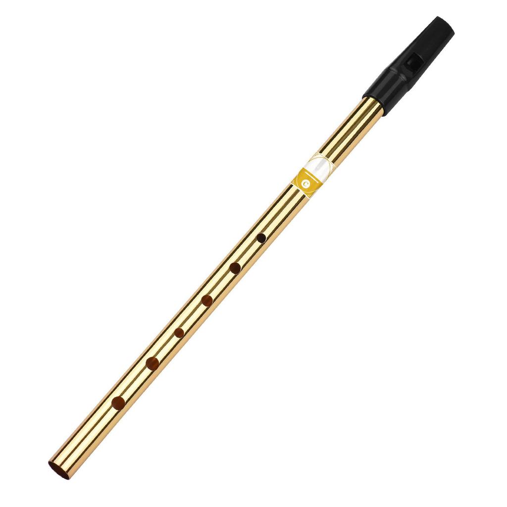 Irish Whistle Flute Key of D 6 Holes Flute Wind Musical Instruments for Beginners Intermediates Experts