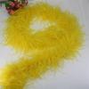 DIY 6 Layer Ostrich Feathers Boa Wedding Accessories Plumas De Faisan 2 Meters Clothing Plume Art and Craft Supplies Party Dresses