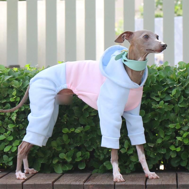 Winter Hundepullover Italienisches Windspiel Whippet Warmer Hundemantel Haustier Fleece Warm Mit Kapuze Vierbeiniger Pullover Overall