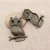 Big Owl Pendant Wings Charms For Forest Bird Theme DIY Bracelet Necklace Jewelry Making Supplies For