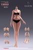 Scale Female Armored Super Flexible Seamless Female Figure Narrow and Full Miniature Action Figure Doll 1/6 Body, 12-inch, Body, Slender, Voluptuous,