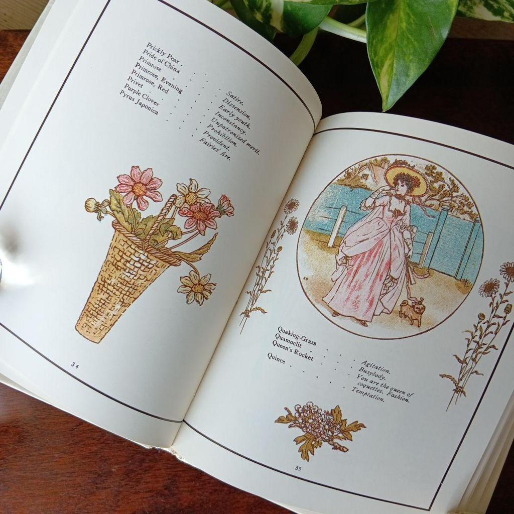 [USED] Old Western Books, 1884, Flower Language: Delicate Lines and Beautiful Colors, Kate Greenaway Art Collection