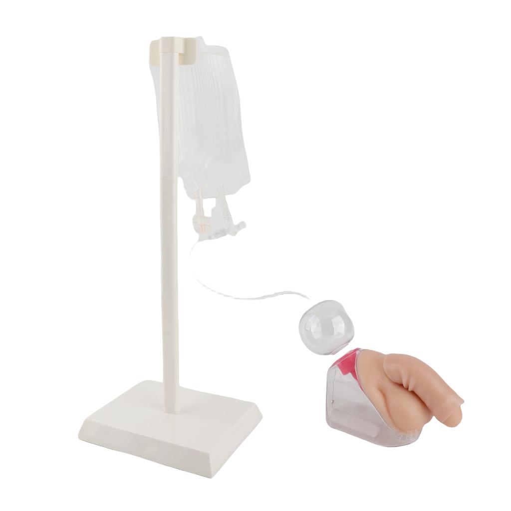 Male Urethral Catheterization Simulator Fluid Circulation System Urinary Catheterization Model for