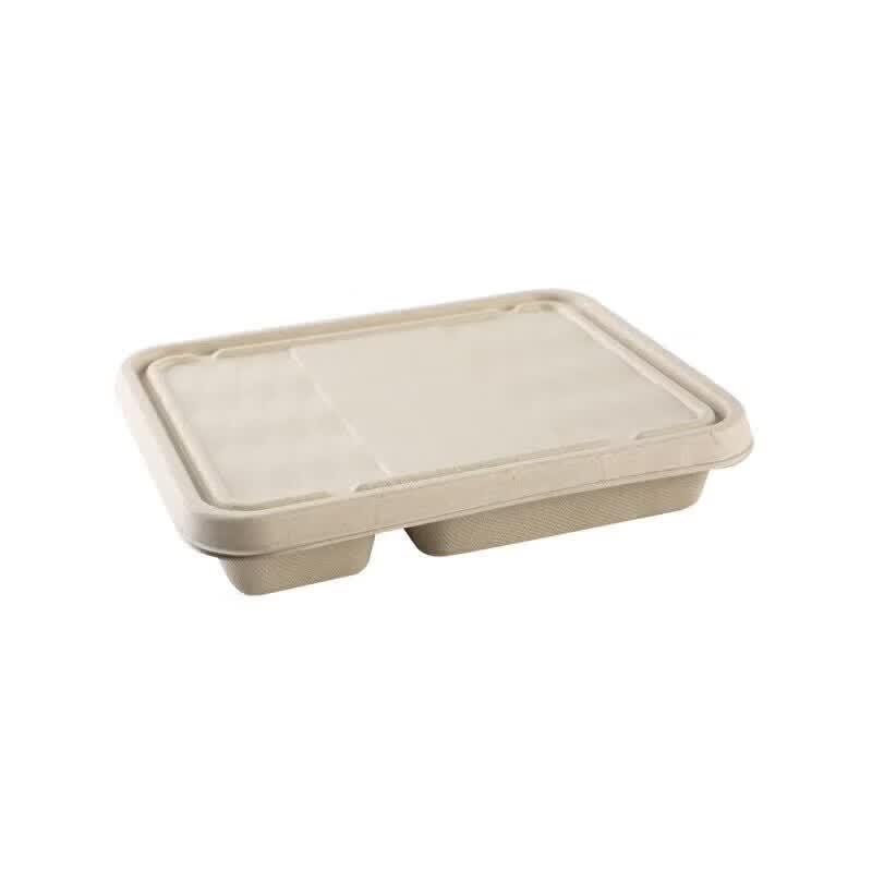 Biodegradable 6-Compartment Meal Prep Containers