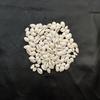 Natural Healing White Cowrie Shell, Sea Shell For Jewelry Making Use Shell, Polished Cowrie Shell, White Sea Shell Lot.